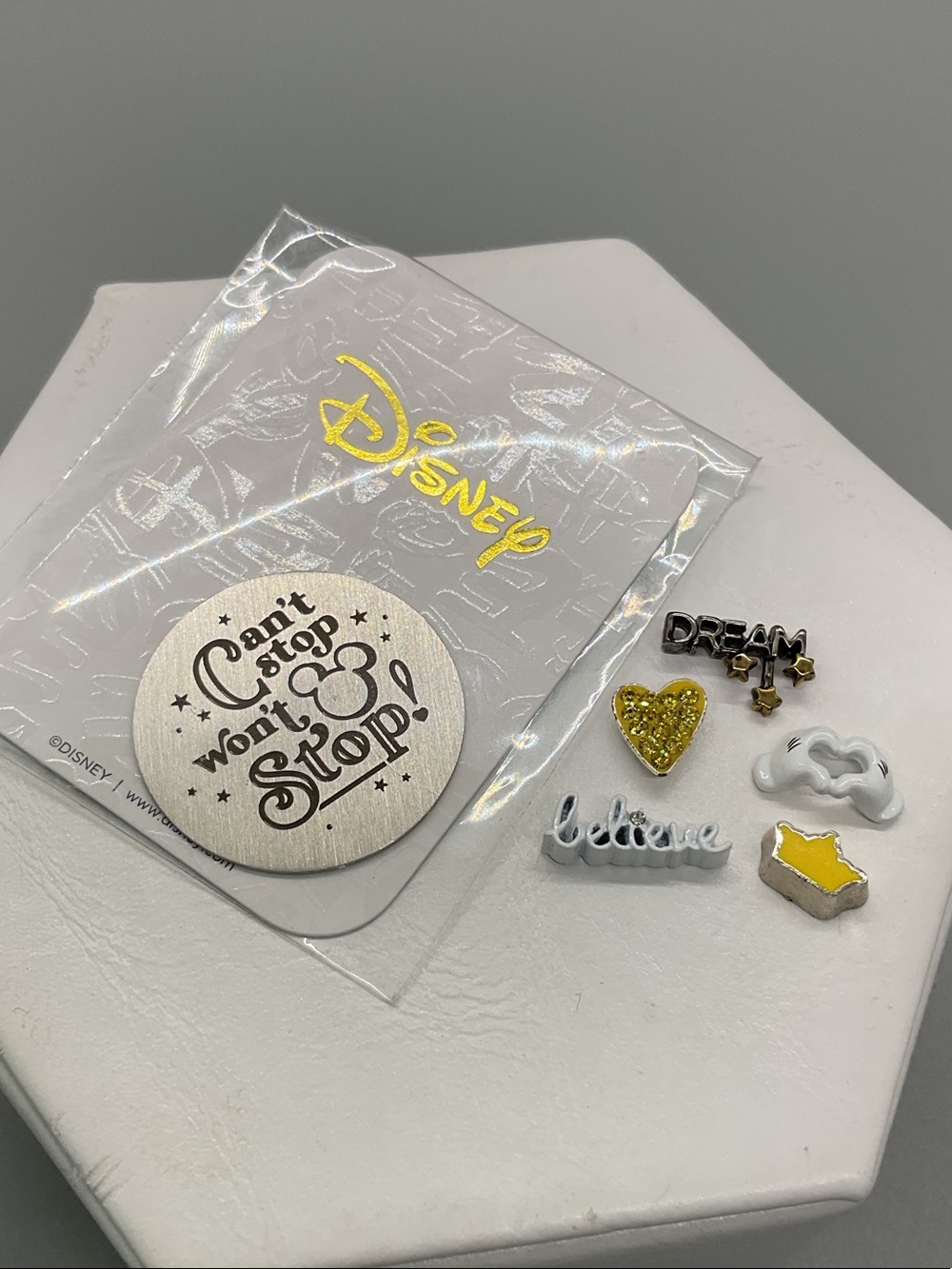 Origami Owl DISNEY Window Plate and Charm Set